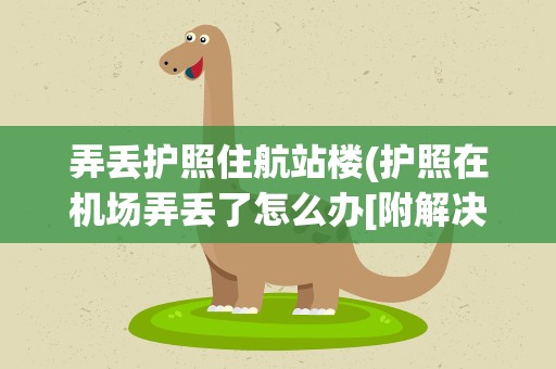 弄丢护照住航站楼(护照在机场弄丢了怎么办[附解决方法教程])