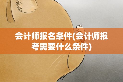 会计师报名条件(会计师报考需要什么条件)