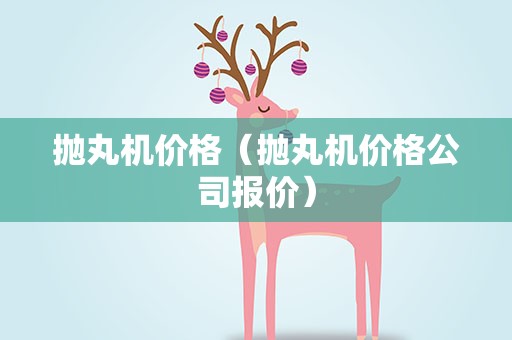 抛丸机价格（抛丸机价格公司报价）