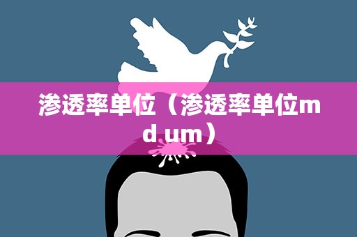 渗透率单位（渗透率单位md um）