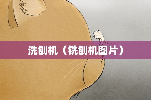 洗刨机（铣刨机图片）