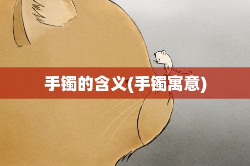 手镯的含义(手镯寓意)