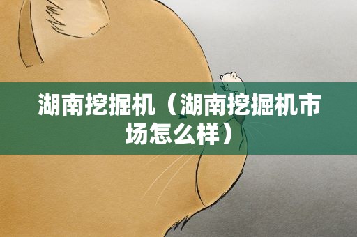湖南挖掘机（湖南挖掘机市场怎么样）