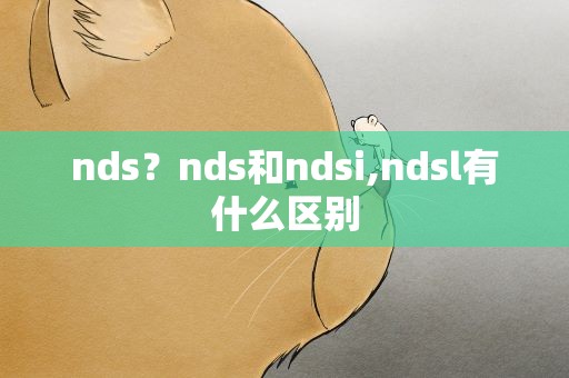 nds？nds和ndsi,ndsl有什么区别
