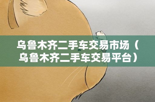 乌鲁木齐二手车交易市场（乌鲁木齐二手车交易平台）
