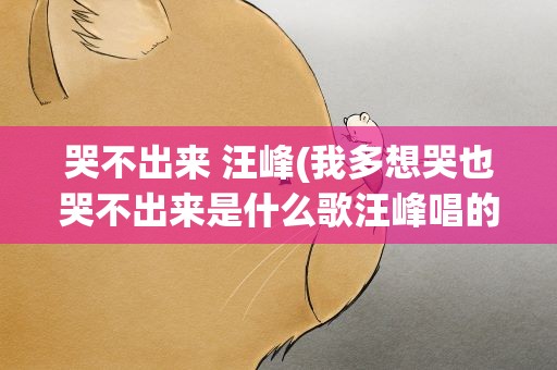 哭不出来 汪峰(我多想哭也哭不出来是什么歌汪峰唱的)