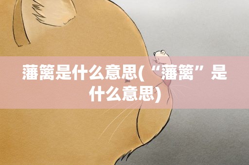 藩篱是什么意思(“藩篱”是什么意思)
