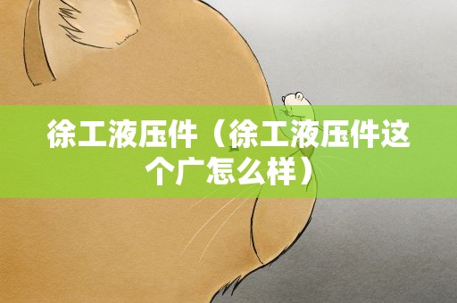 徐工液压件（徐工液压件这个广怎么样）
