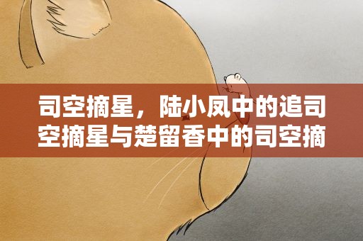 司空摘星，陆小凤中的追司空摘星与楚留香中的司空摘星是不是同一个人
