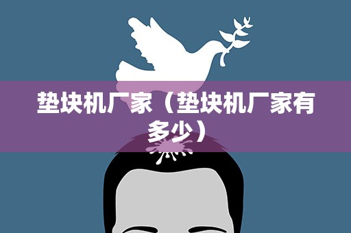 垫块机厂家（垫块机厂家有多少）