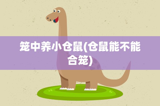 笼中养小仓鼠(仓鼠能不能合笼)