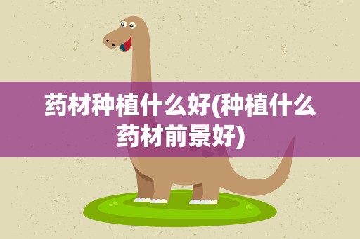 药材种植什么好(种植什么药材前景好)