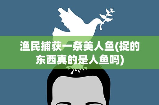 渔民捕获一条美人鱼(捉的东西真的是人鱼吗)