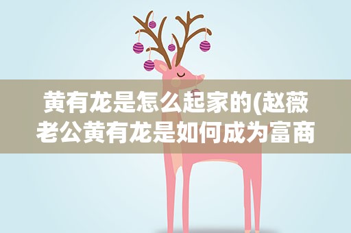 黄有龙是怎么起家的(赵薇老公黄有龙是如何成为富商的)