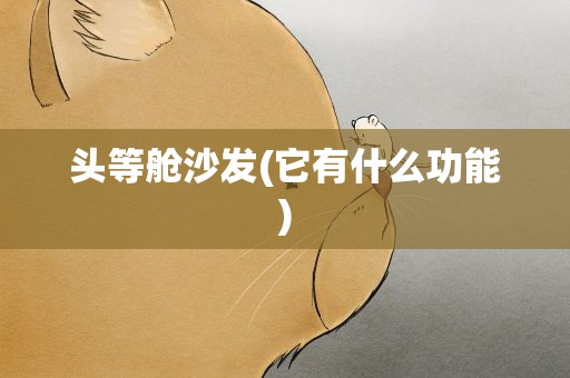 头等舱沙发(它有什么功能)