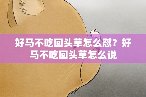好马不吃回头草怎么怼？好马不吃回头草怎么说