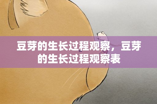 豆芽的生长过程观察，豆芽的生长过程观察表
