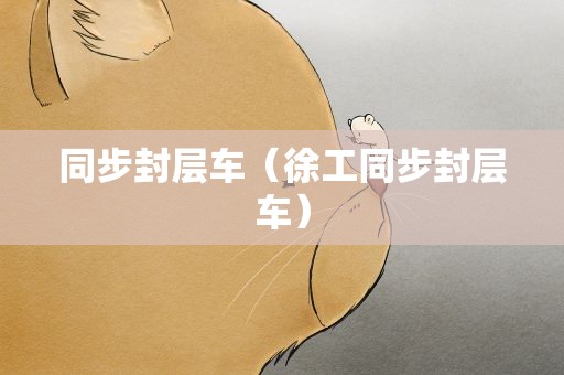 同步封层车（徐工同步封层车）