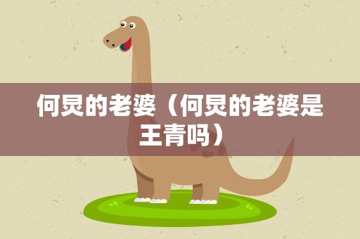 何炅的老婆（何炅的老婆是王青吗）