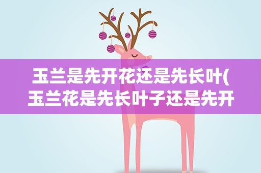 玉兰是先开花还是先长叶(玉兰花是先长叶子还是先开花)