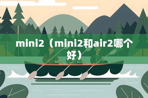 mini2（mini2和air2哪个好）