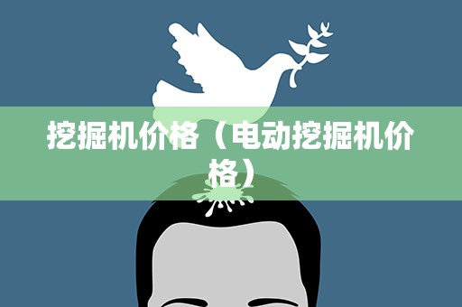 挖掘机价格（电动挖掘机价格）