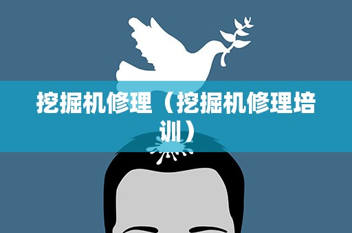 挖掘机修理（挖掘机修理培训）