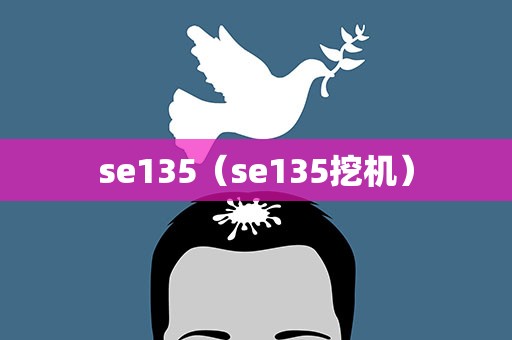 se135（se135挖机）