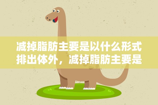 减掉脂肪主要是以什么形式排出体外，减掉脂肪主要是以什么形式排出体外的