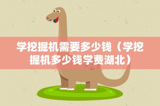 学挖掘机需要多少钱（学挖掘机多少钱学费湖北）