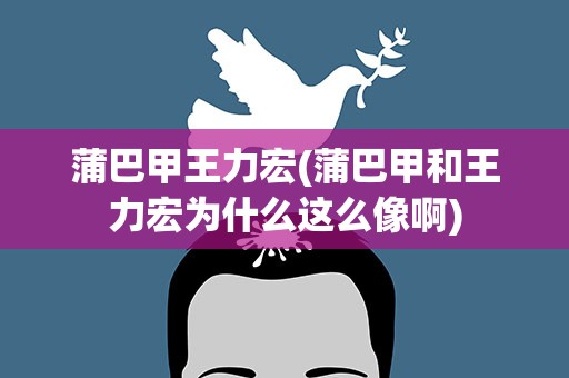 蒲巴甲王力宏(蒲巴甲和王力宏为什么这么像啊)