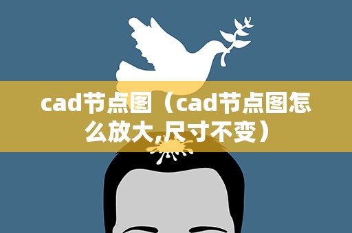 cad节点图（cad节点图怎么放大,尺寸不变）