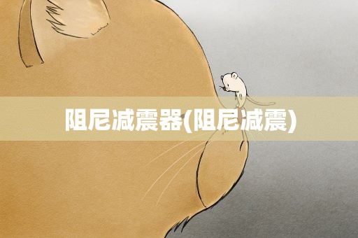 阻尼减震器(阻尼减震)