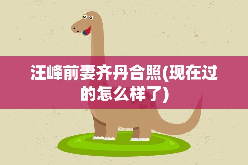 汪峰前妻齐丹合照(现在过的怎么样了)