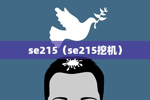 se215（se215挖机）