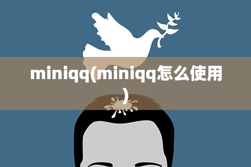 miniqq(miniqq怎么使用)