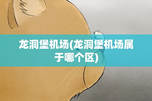 龙洞堡机场(龙洞堡机场属于哪个区)