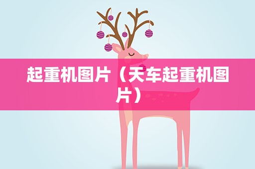 起重机图片（天车起重机图片）