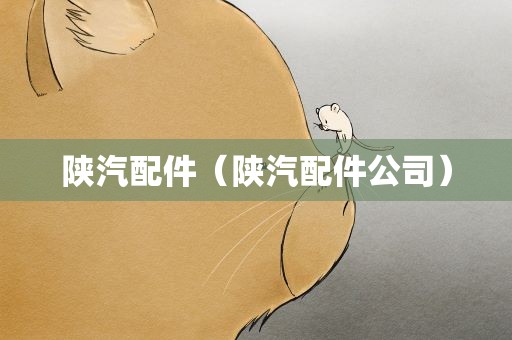 陕汽配件（陕汽配件公司）