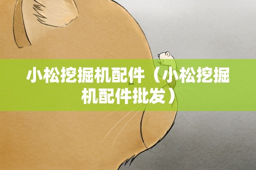 小松挖掘机配件（小松挖掘机配件批发）