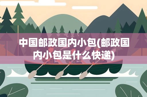 中国邮政国内小包(邮政国内小包是什么快递)
