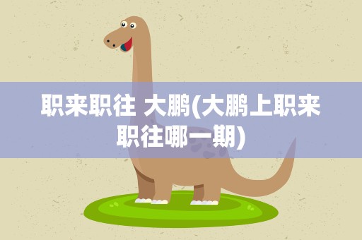 职来职往 大鹏(大鹏上职来职往哪一期)