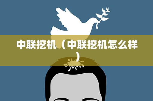 中联挖机（中联挖机怎么样）