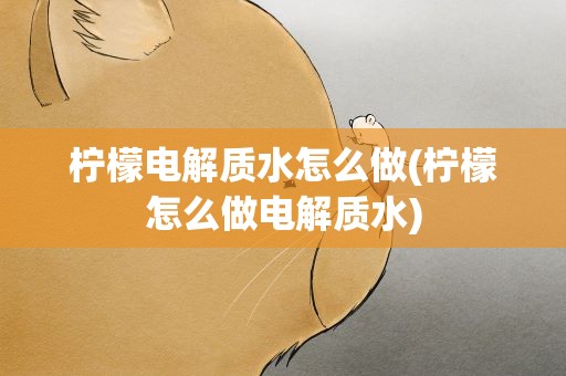 柠檬电解质水怎么做(柠檬怎么做电解质水)