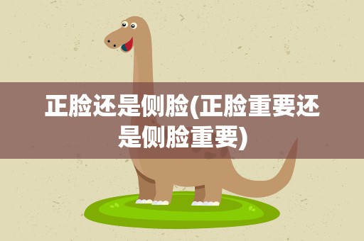 正脸还是侧脸(正脸重要还是侧脸重要)
