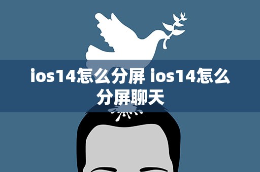 ios14怎么分屏 ios14怎么分屏聊天