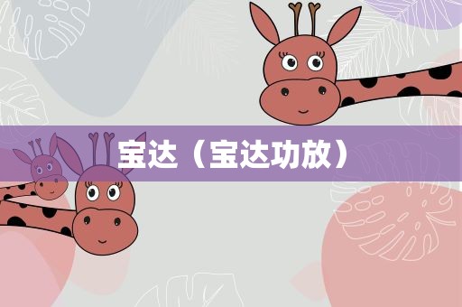 宝达（宝达功放）