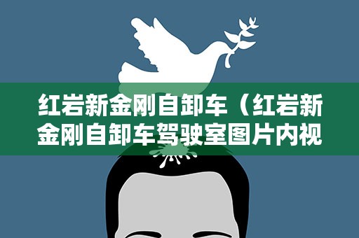 红岩新金刚自卸车（红岩新金刚自卸车驾驶室图片内视）
