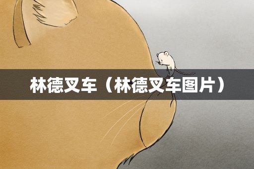 林德叉车（林德叉车图片）