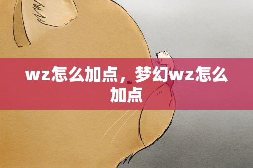 wz怎么加点，梦幻wz怎么加点